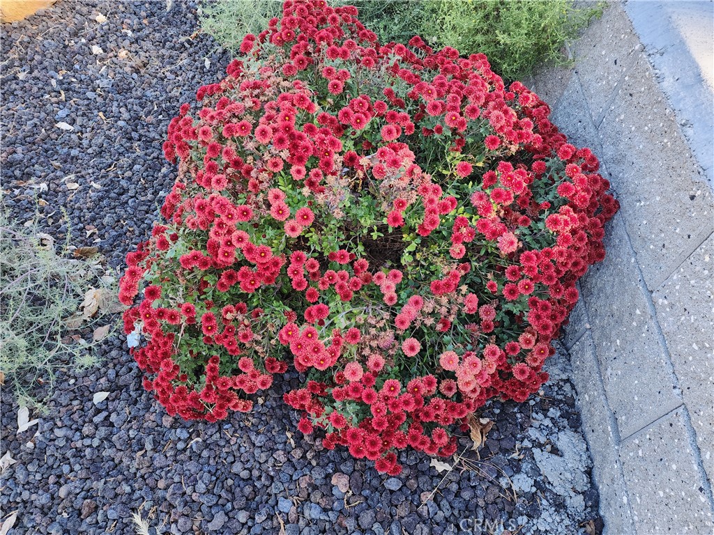 https://media.crmls.org/medias/6c60286d-19cb-412d-885a-260fedfbcd99.jpg?preset=X-Large