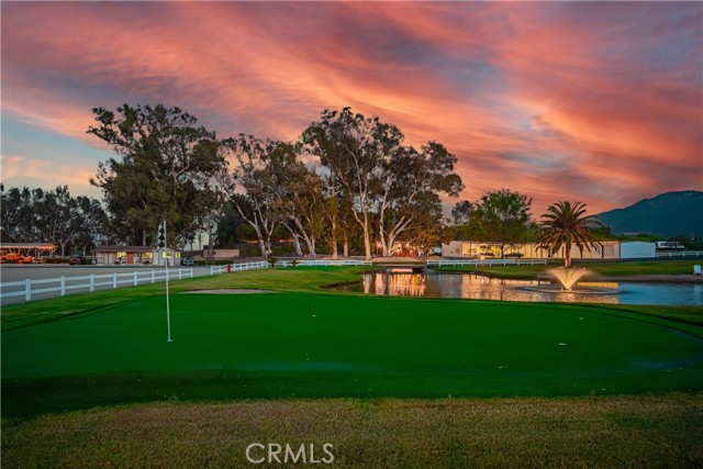 26465 Douglas Avenue, Murrieta CA: https://media.crmls.org/medias/6c6454df-1485-4e5d-a224-6b32b86e58bc.jpg