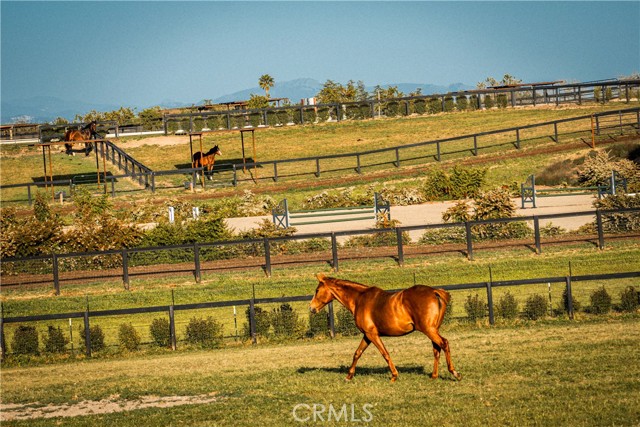 Detail Gallery Image 14 of 60 For 1977 W San Marcos Pass Rd, Santa Ynez,  CA 93460 - – Beds | – Baths