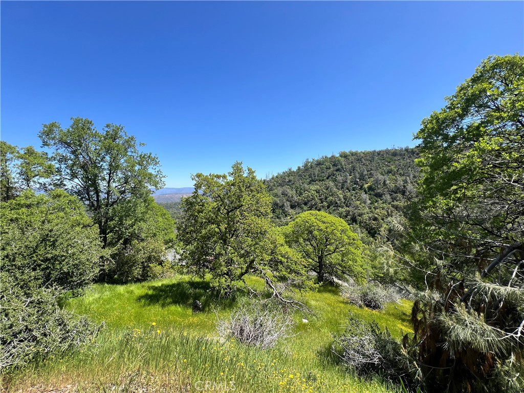 MLS #MP24086965 image #4