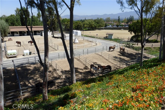 Detail Gallery Image 19 of 23 For 3235 San Amadeo a,  Laguna Woods,  CA 92637 - 3 Beds | 2 Baths