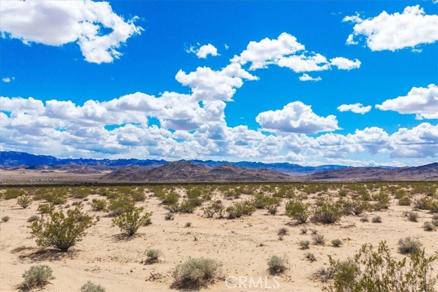 Detail Gallery Image 14 of 26 For 62 Lucille Ln, Joshua Tree,  CA 92252 - – Beds | – Baths