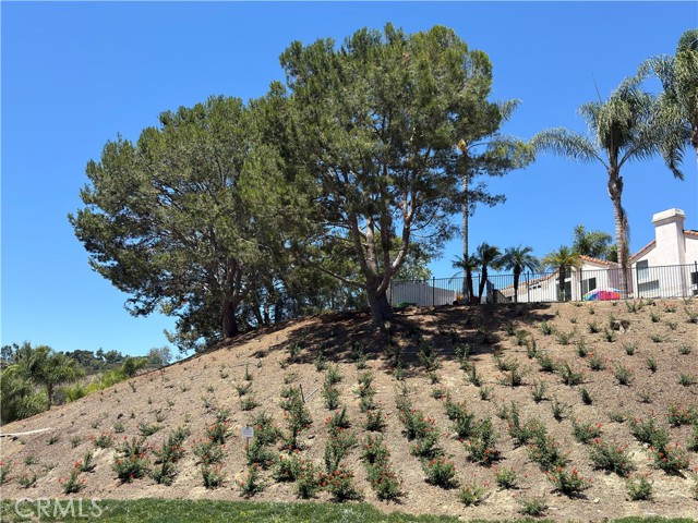 Detail Gallery Image 43 of 50 For 29 Gullwing, Laguna Niguel,  CA 92677 - 4 Beds | 2/1 Baths