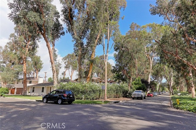 3101 Via La Selva, Palos Verdes Estates, California 90274, 4 Bedrooms Bedrooms, ,3 BathroomsBathrooms,Residential,Sold,Via La Selva,SB17225108