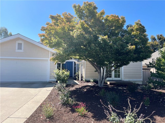 1169 Rosemary Court, San Luis Obispo CA: https://media.crmls.org/medias/6c8a681b-91cd-45bb-b749-7551e17d7f71.jpg