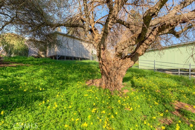 Detail Gallery Image 42 of 52 For 2454 Oro Quincy, Oroville,  CA 95966 - 2 Beds | 2 Baths