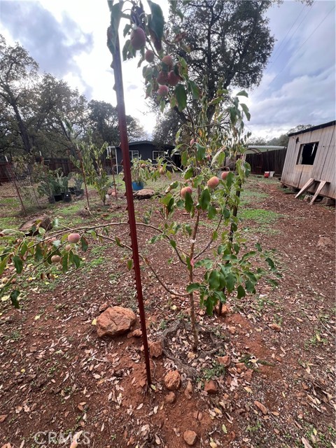 Detail Gallery Image 47 of 51 For 16095 Spruce Grove Rd, Lower Lake,  CA 95457 - 3 Beds | 2 Baths