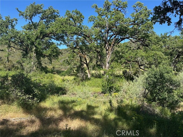 7300 Ridge Road, Lakeport CA: https://media.crmls.org/medias/6c93464e-f0c7-4112-a6ab-9dac452fb95a.jpg