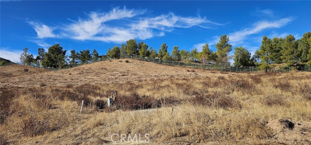 Detail Gallery Image 3 of 28 For 0 Carrie Ct, Agua Dulce,  CA 91390 - – Beds | – Baths