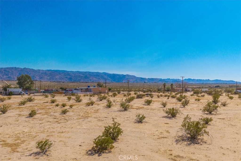 MLS #JT25177017 img 11