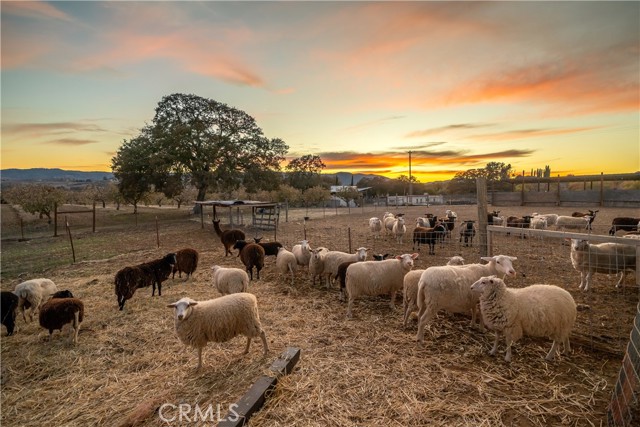 Detail Gallery Image 58 of 64 For 7245 Nonpariel Rd, Paso Robles,  CA 93446 - 3 Beds | 2 Baths