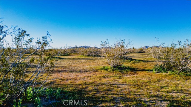 Detail Gallery Image 15 of 23 For 0 Los Padres Rd, Apple Valley,  CA 92307 - – Beds | – Baths