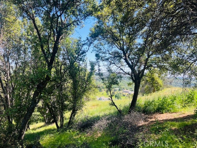 Detail Gallery Image 12 of 75 For 8697 Fraguero Rd, Sonora,  CA 95370 - 4 Beds | 2/1 Baths