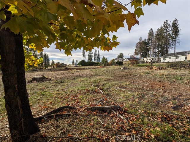 6642 Whittall Lane, Paradise, California 95969, ,Land,For Sale,6642 Whittall Lane,CRSN23205819