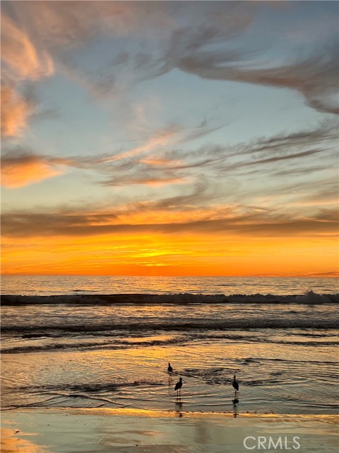 Detail Gallery Image 39 of 41 For 3512 Pacific Ave #2,  Los Angeles,  CA 90292 - 2 Beds | 2 Baths