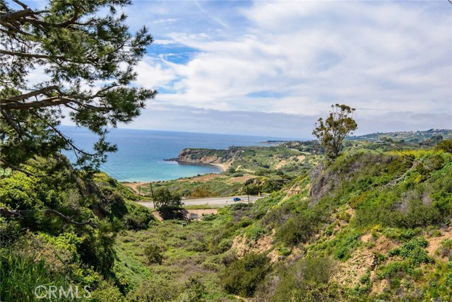 Stunning view at the top of the stairs going up the hill in the backyard!