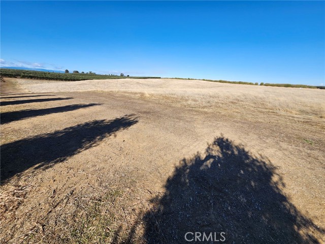 Detail Gallery Image 11 of 22 For 0 087-250-008-000, Corning,  CA 96021 - – Beds | – Baths