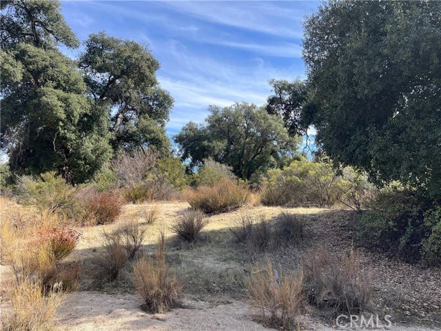 Detail Gallery Image 16 of 26 For 35010 Willow Creek Rd., Hemet,  CA 92544 - – Beds | – Baths