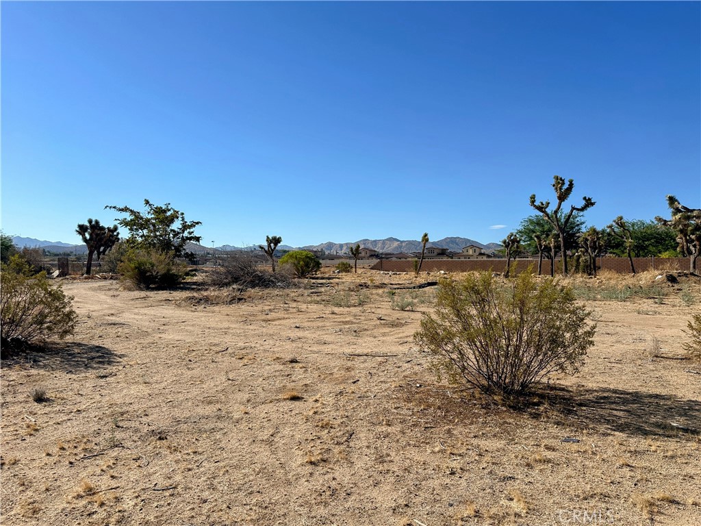 MLS #JT25176683 image #7