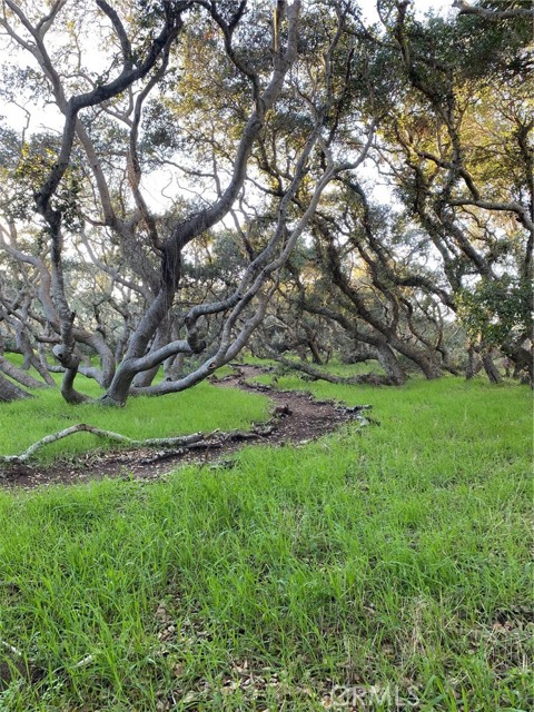 Detail Gallery Image 66 of 73 For 1595 Los Osos Valley Rd 8a,  Los Osos,  CA 93402 - 2 Beds | 2 Baths