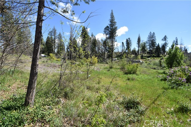 Detail Gallery Image 13 of 17 For 6 Sugar Pine, Berry Creek,  CA 95916 - – Beds | – Baths