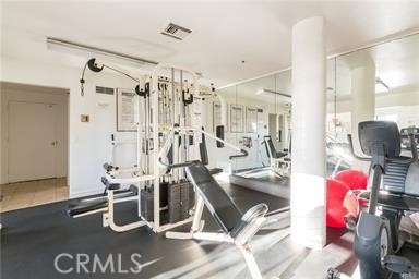 Complex Gym