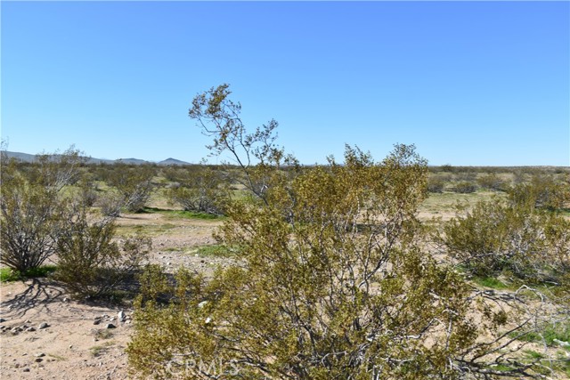 Detail Gallery Image 5 of 31 For 24 Frontier, Helendale,  CA 92342 - – Beds | – Baths