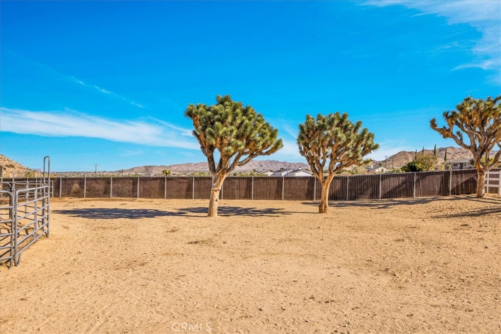 MLS #JT25259657 image #41