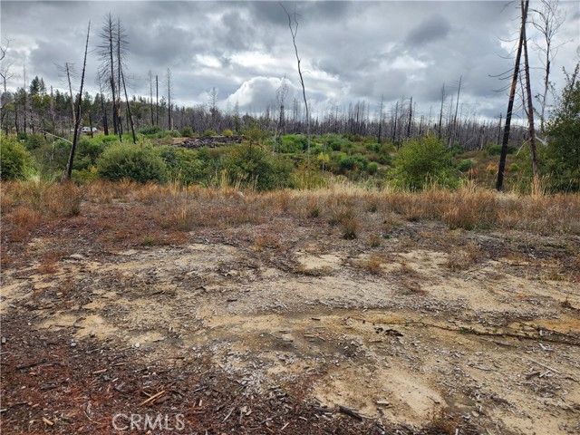 Detail Gallery Image 5 of 7 For 1103 Bald Rock Rd, Berry Creek,  CA 95916 - – Beds | – Baths