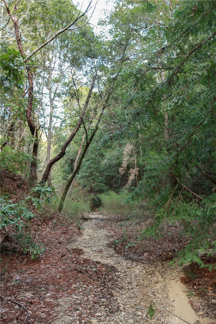 MLS #OC25221127 image #8