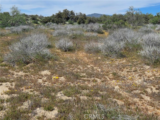 Detail Gallery Image 2 of 6 For 4 Fletcher, Anza,  CA 92539 - – Beds | – Baths