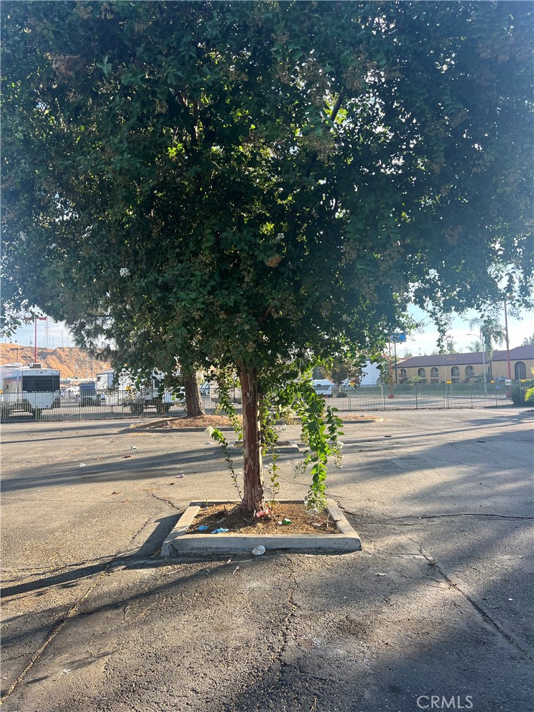 MLS #IV25194453 image #7