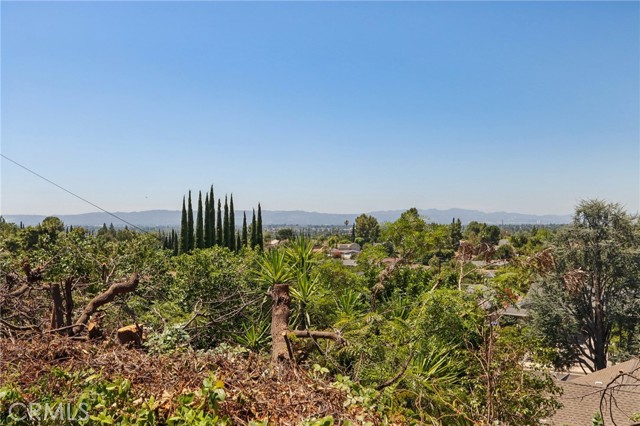 Detail Gallery Image 34 of 42 For 12131 Woodley Ave, Granada Hills,  CA 91344 - 4 Beds | 2/1 Baths