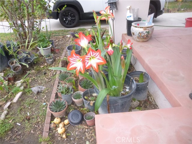 Detail Gallery Image 25 of 27 For 579 16th, San Bernardino,  CA 92405 - 3 Beds | 1/1 Baths