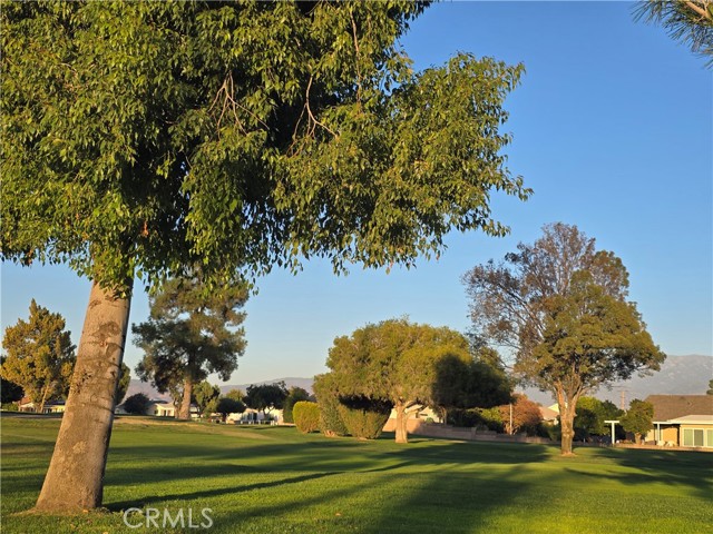 Detail Gallery Image 62 of 73 For 1140 Amberwood Dr, Hemet,  CA 92543 - 2 Beds | 2 Baths