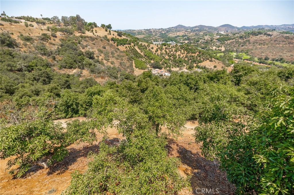 6Ce3925F 5Cfe 4088 Bfe0 3667Bf1A8B93 2125 Puerto Del Mundo, Fallbrook, Ca 92028 &Lt;Span Style='BackgroundColor:transparent;Padding:0Px;'&Gt; &Lt;Small&Gt; &Lt;I&Gt; &Lt;/I&Gt; &Lt;/Small&Gt;&Lt;/Span&Gt;