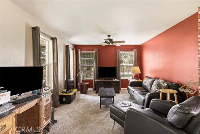 Detail Gallery Image 17 of 75 For 24515 Moller Ave, Orland,  CA 95963 - 3 Beds | 2 Baths