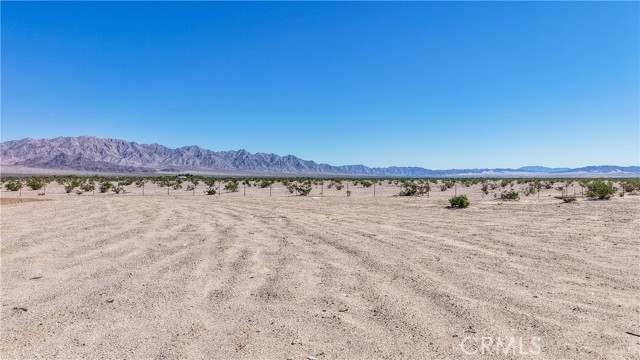MLS #CV25236416 image #9