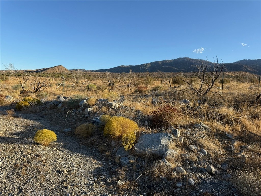 MLS #HD25232723 image #6