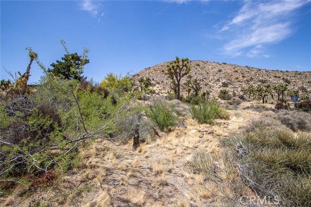8385 Elk Court, Yucca Valley CA: https://media.crmls.org/medias/6cf5f763-c44b-44bd-80c0-5e1e1fc93acd.jpg