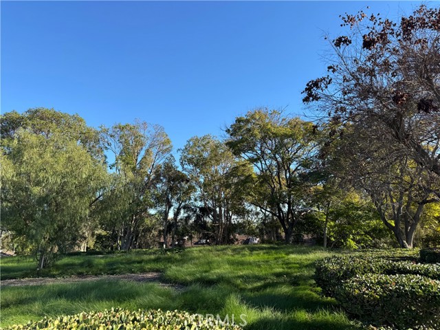 Detail Gallery Image 26 of 39 For 13210 Avenida Santa Tecla 707a,  La Mirada,  CA 90638 - 3 Beds | 2 Baths