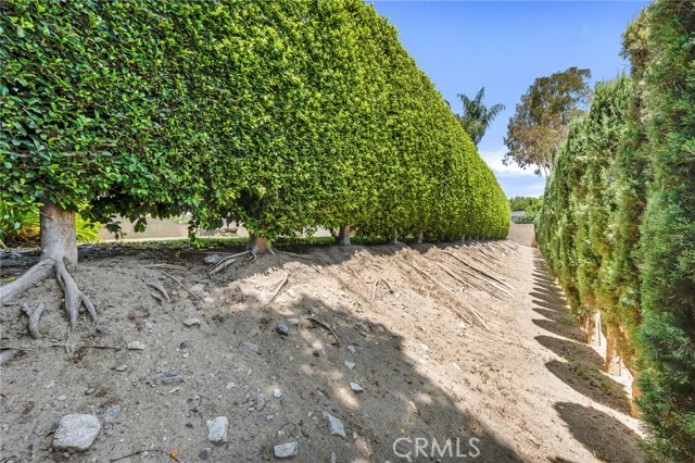 17262 Chase Street, Northridge CA: https://media.crmls.org/medias/6cff0123-f88c-48cf-b158-3791f60abad4.jpg