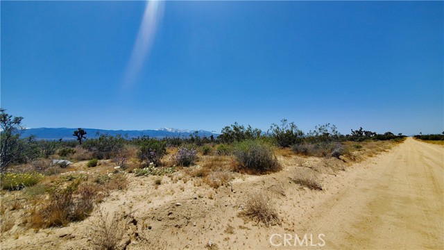Detail Gallery Image 12 of 20 For 0 Ave U Vicinity 257th St East, Llano,  CA 93544 - – Beds | – Baths