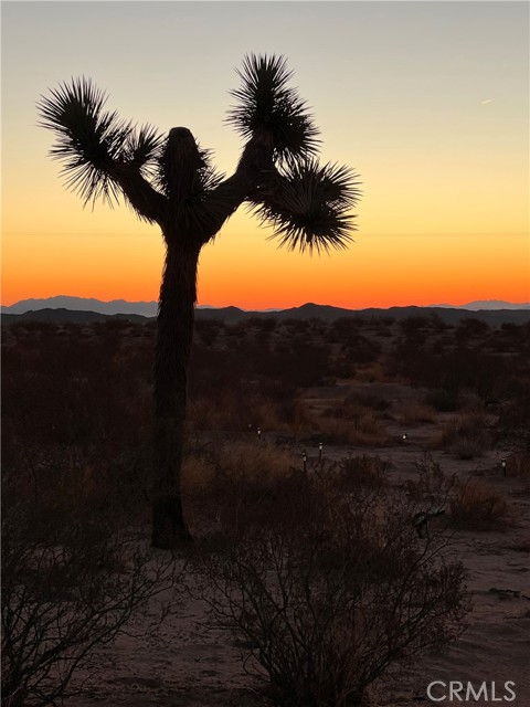 Detail Gallery Image 16 of 24 For 2674 Manana Ave, Joshua Tree,  CA 92252 - – Beds | – Baths