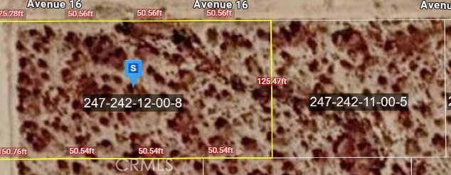 Front Image Thumbnail for CRTR26153866