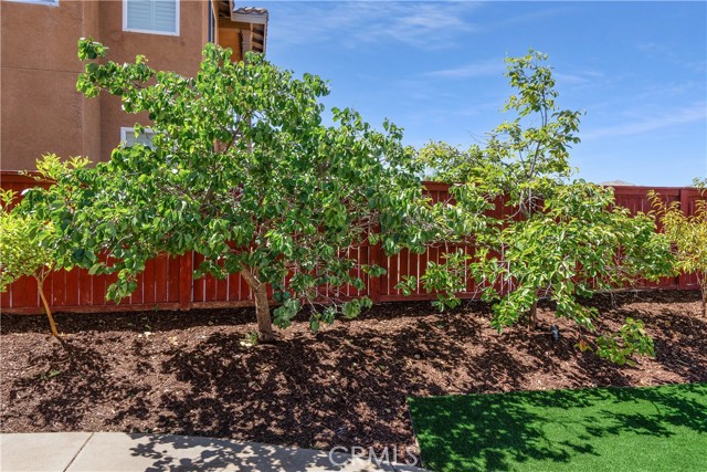 Fruit Trees