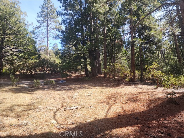 Detail Gallery Image 44 of 61 For 52547 Pine Cove Rd, Idyllwild,  CA 92549 - – Beds | – Baths