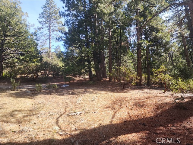 Detail Gallery Image 44 of 61 For 52547 Pine Cove Rd, Idyllwild,  CA 92549 - – Beds | – Baths