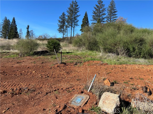 Detail Gallery Image 2 of 8 For 9325 Skyway, Paradise,  CA 95969 - – Beds | – Baths