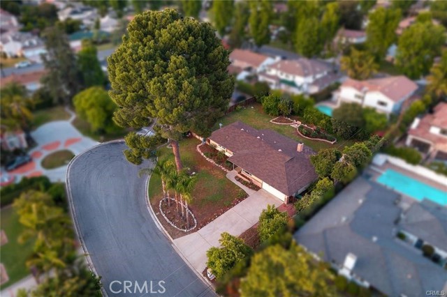 2520 Louise Avenue, Arcadia CA: https://media.crmls.org/medias/6d2c0dbd-9557-449d-bd67-02ebd2e0e970.jpg